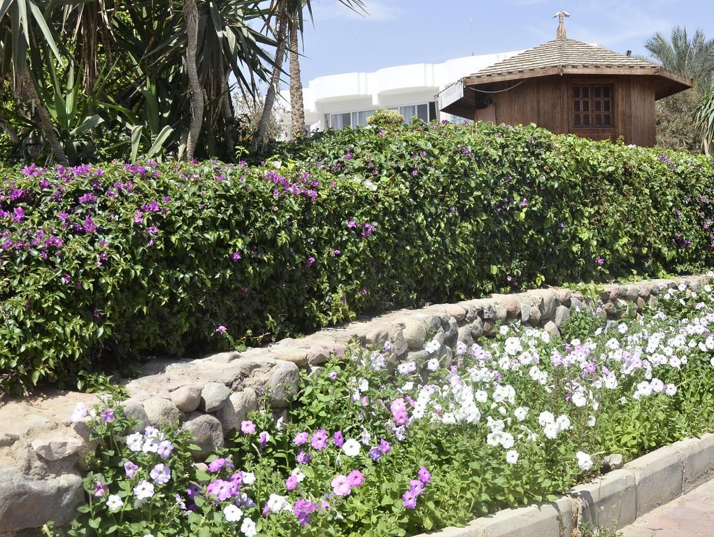 Queen Sharm Aqua Park Hotel Eksteriør billede